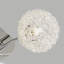 5-Light Semi Flush Mount