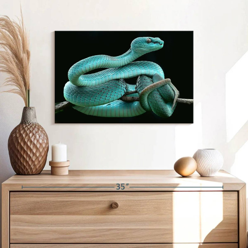 Brampt Blue Pit Viper, 34" H x 51" W