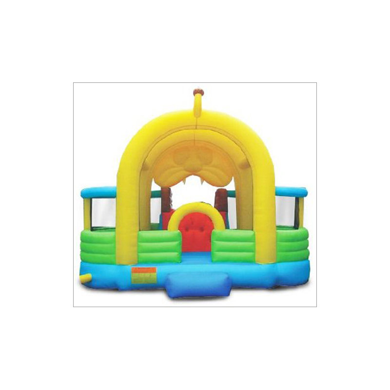 Rebond-salle lion