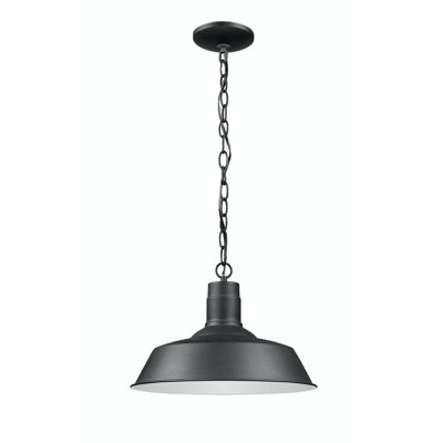 Wilde Outdoor Pendant