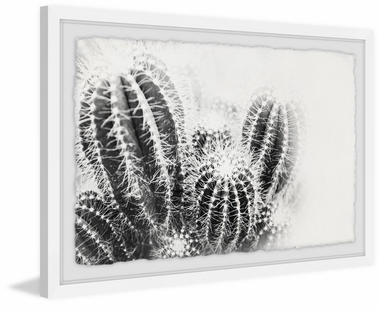 «Cactus Spines» de Dawkins, reproduction de photo encadrée, H 8 po x l 12 po x P 1,5 po