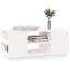 Kastin Solid Wood Solid Coffee Table with Storage-1595525944