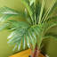 110cm Faux Palm Tree in Pot Liner