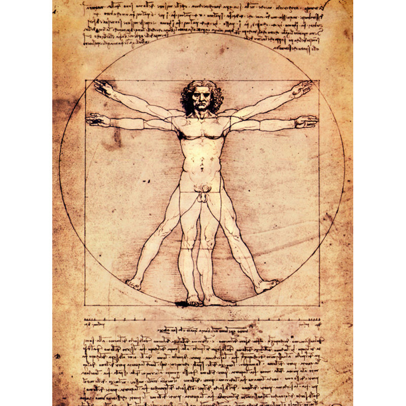 Vitruvian, 1492, H 24 po x l 18 po