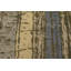 Tapis oriental multicolore moderne 6 X 9