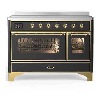 Majestic III Series 48 Inch Induction Range with 6 Induction Elements in Matte Graphite (Brass Trim)