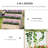 3-Tiers Raised Garden Bed with Trellis