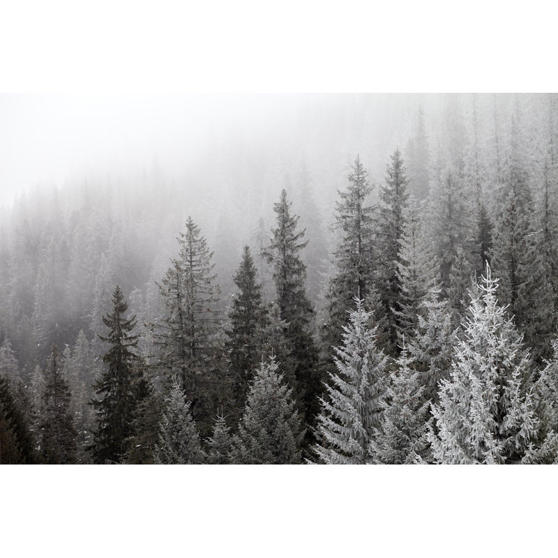 Frozen Winter Forest In The Fog by Bsani - Wrapped Canvas Print, 20cm H x 30cm W x 3.8cm D