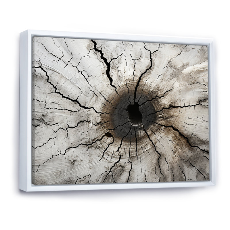 «Tree Cut Stump Beauty I», reproduction sur toile, H 24 po x l 32 po x P 1 po, Cadre flottant blanc
