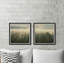 Monaco Monaco Sunlight Through Trees - 2 Piece Single Picture Frame Print-1582497906