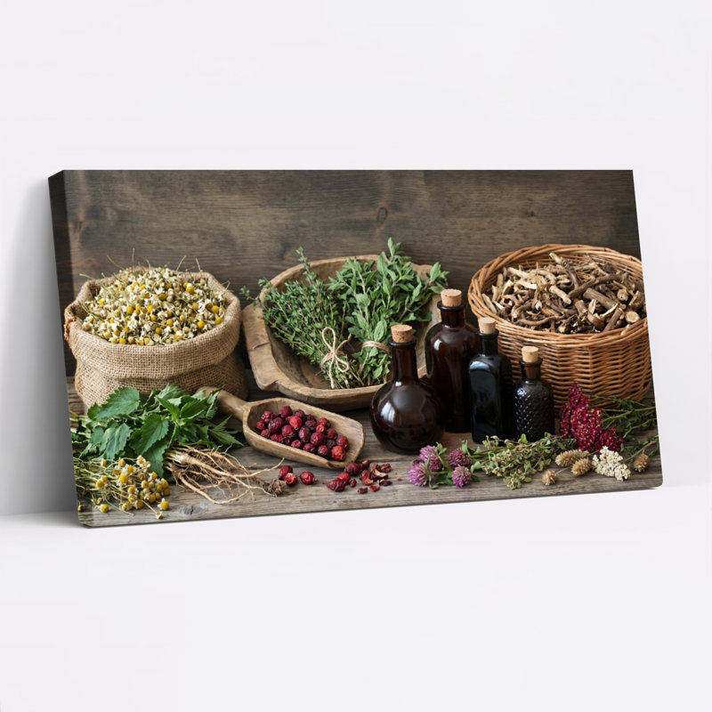 Ensemble de 1 tableau sur toile « Remèdes à base de plantes », L 40 po x H 20 po, Toile tendue