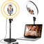 Lampe de bureau 10,5 po avec support