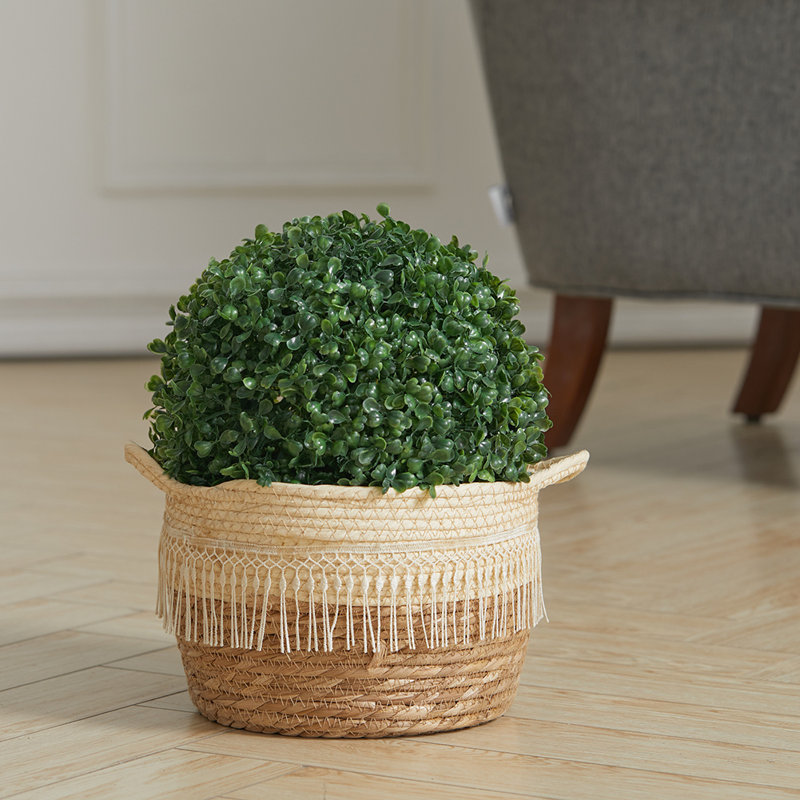 28cm Faux Pine Topiary in Basket
