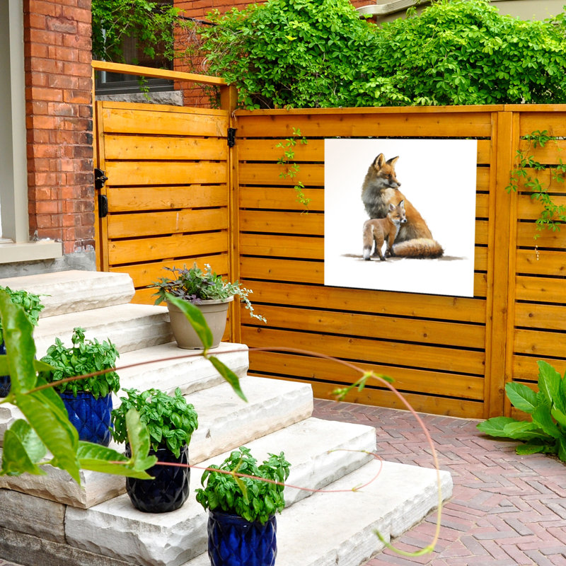 The Macneil Studio 'Fox' All-Weather Canvas Animals Wall Decor, 24" W x 24" H