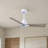 Alessandra 42'' Ceiling Fan-1421734447-1421734367