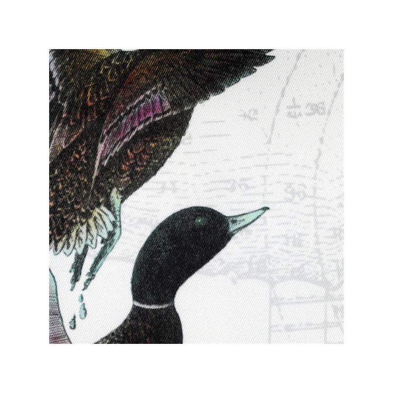  Coussin Mallard