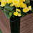Vertical Garden with Trellis-321568711-321568706