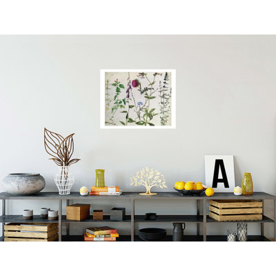 Eight Studies of Wild Flowers by Albrecht Dürer - Giclee Print