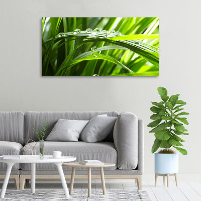 Drops On The Grass - Wrapped Canvas Print