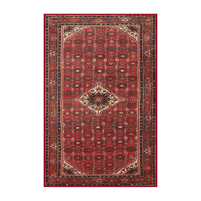 Tapis traditionnel rouge / brun Ritwik, Rectangle 5 pi x 8 pi