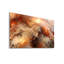 Dosseret Fiery Nebula-2101434364