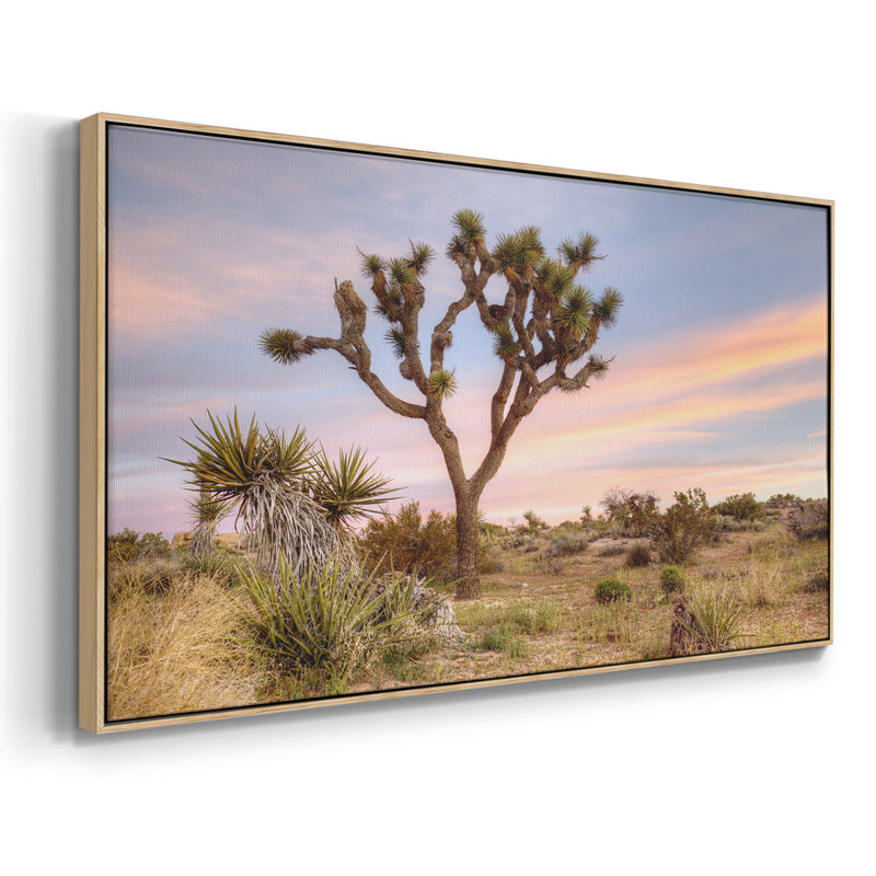 Joshua Tree Sunrise - Toile tendue avec châssis tendue, prête à être accrochée, H 21 po x l 41 po, Blanc
