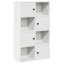 Anagnos 101.5cm H x 60cm W Bookcase-741597267