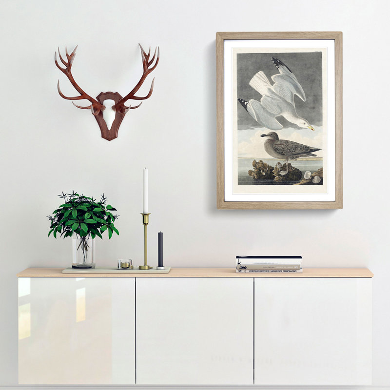 Herring Gulls by John Audubon - Picture Frame Painting Print, Oak Framed, 48cm H x 36cm W x 2cm D