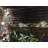 Lantern String Lights With 10 Clear G40 Bulbs And Star Plastic Lamp Shades, Indoor Outdoor String Lights,(Star Lantern/11FT)