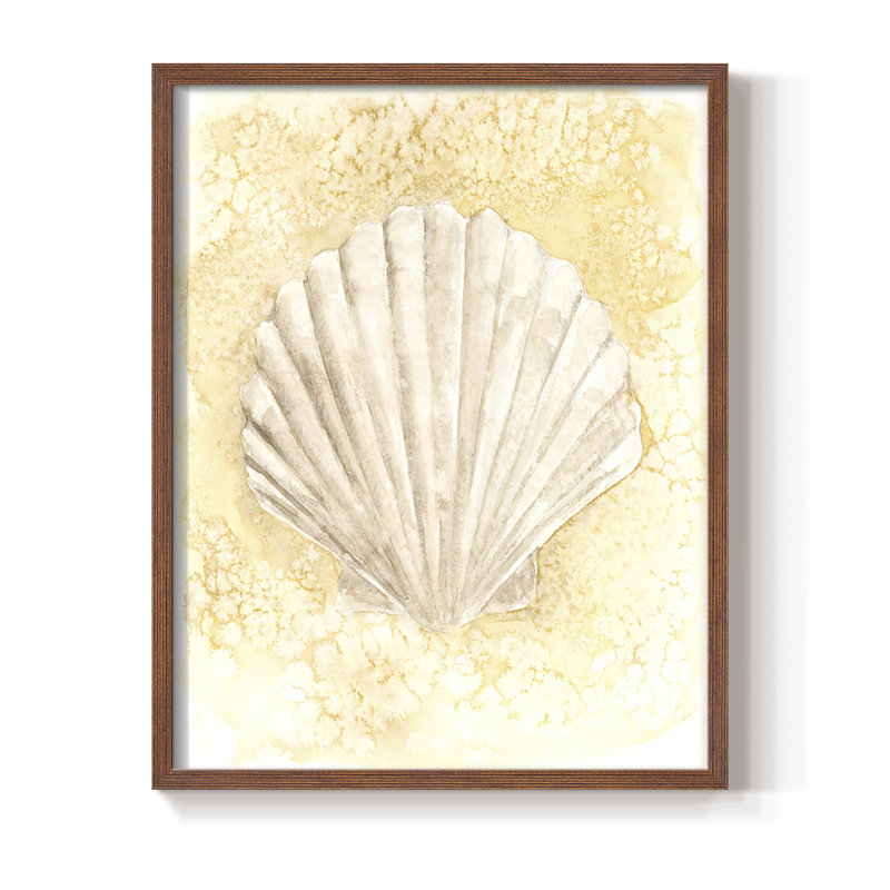 Reproduction encadrée Salty Seashell II - bois massif, Brun, H 14 po x l 11 po