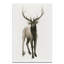 «Majestic Wildlife II», reproduction-865283740-865284794