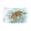  Leopard 2 Piece Decorative Box Set