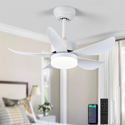 Ceiling Fan with LED Lights