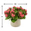 Kalanchoe Arrangement in Fiberstone Pot-1078803483