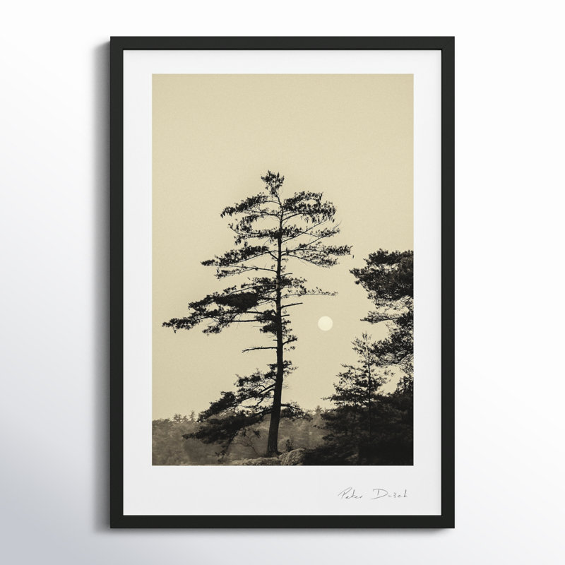 Photographie de jardin, Noir, H 30 po x l 21 po x P 1,25 po