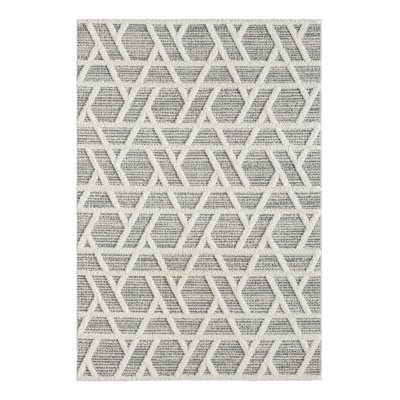Phin Clear Area Rug