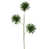 Vert citron