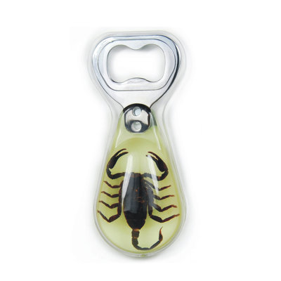 Bottle Opener