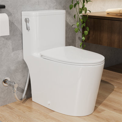 Toilette allongée une pièce à jupe de siphon 1,6 Gpf (siège inclus)