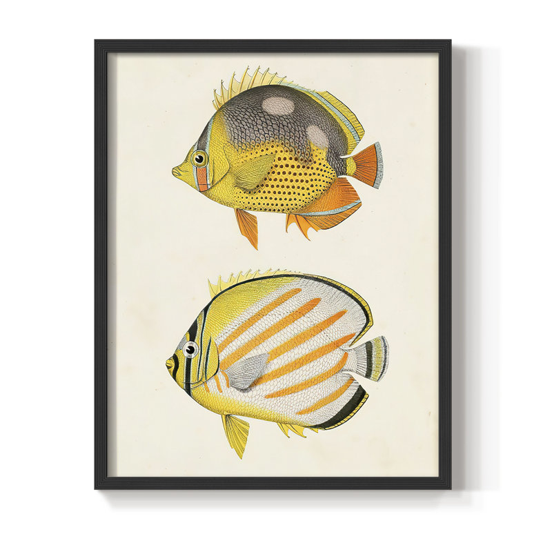 «Yellow & Gray Fish IV», reproduction encadrée - bois massif, Noir, H 20 po x l 16 po