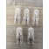 40 Watt G9 G9/Bi-pin Dimmable 2700K Halogen Bulb
