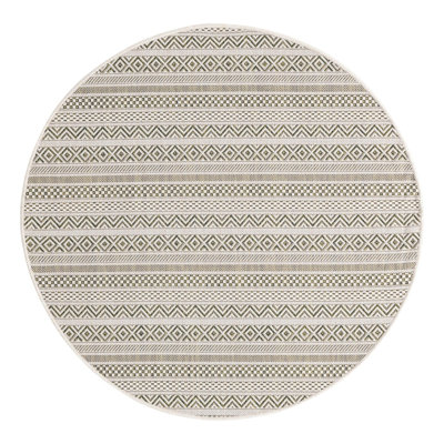 Striped Indoor / Outdoor Rug