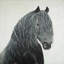 Wild Heart Horse - Décoration sur toile encadrée rustique noire-119955066