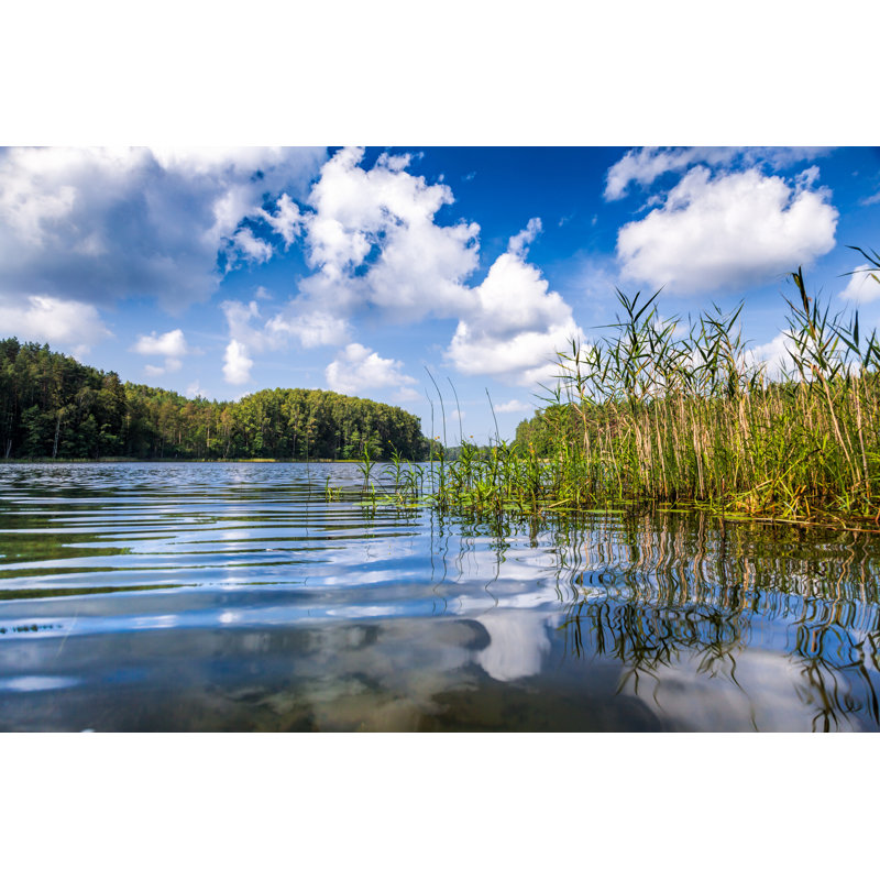 Forest Lake - Wrapped Canvas Print, 81cm H x 122cm W x 3.8cm D