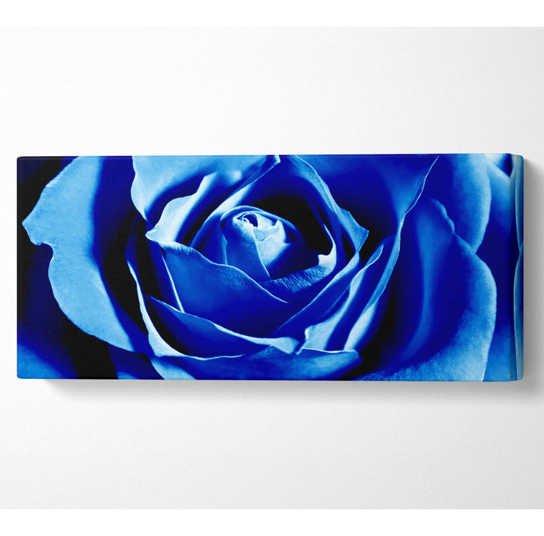 Blaue Rosenblüten Panoramaleinwand