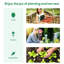 Serre de jardinage 12 pi x 10 pi 7 pi, structure en acier galvanisé, blanc, avec des fenêtres en filet pour des conditions idéales pour les plantes en acier, croissance optimale