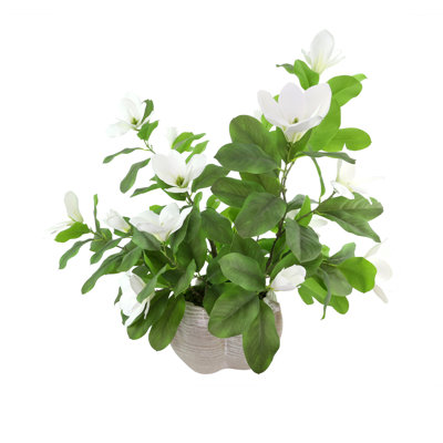 Real-Touch Magnolias in Decorative Vase