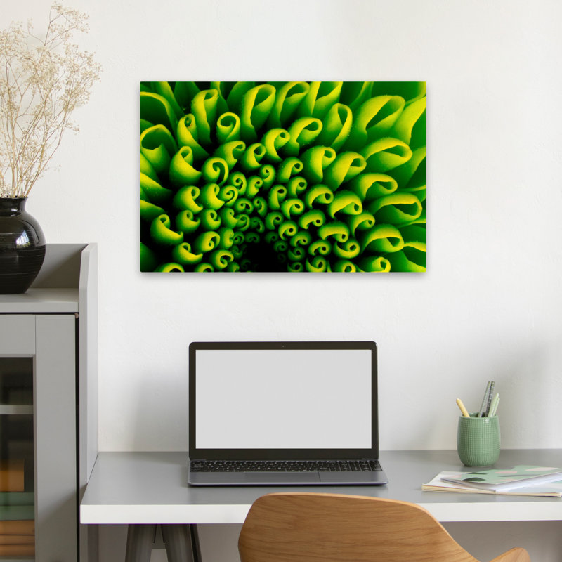 Conception verte - art floral et nature morte, H 16 po x l 24 po