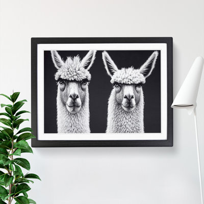 Two Llamas Vol.2 - Single Picture Frame Print