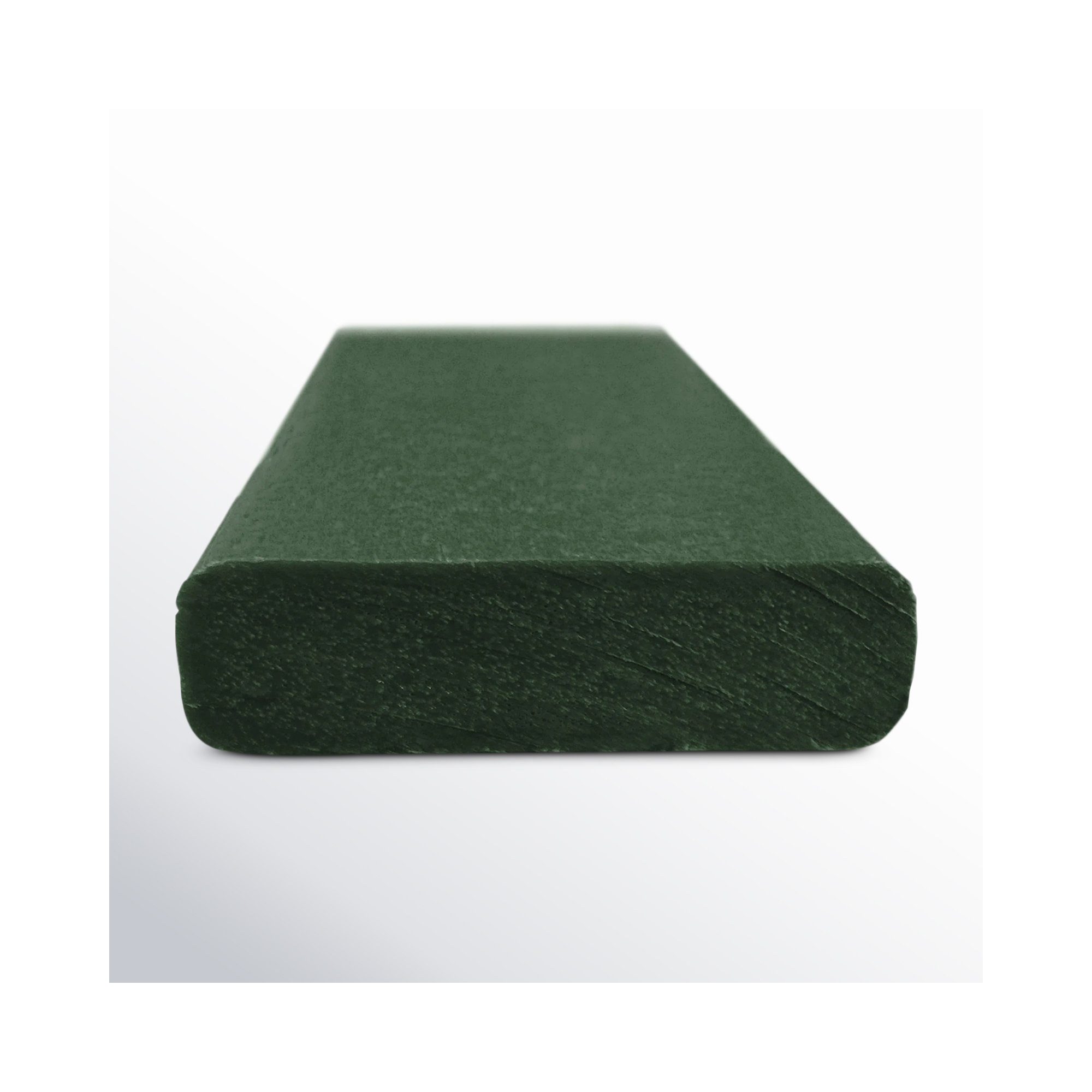 POLYWOOD x AllModern Plastic Adirondack Chair, Green